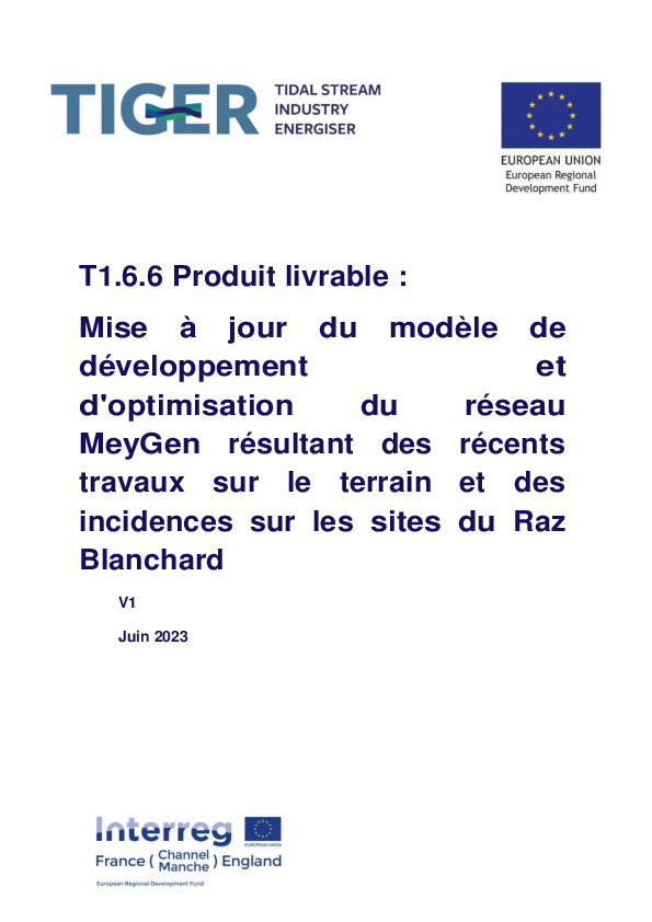 WP-T1.6.6 Array Optimisation-FR.pdf